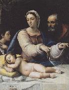 Sebastiano del Piombo The Madonna with the veil oil painting reproduction